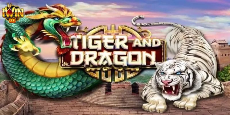 Bỏ túi mẹo chơi Dragon Tiger nâng cao tỷ lệ thắng